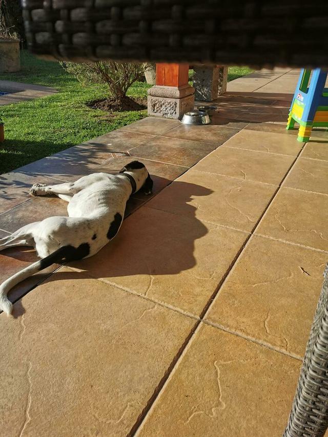 48个令人称奇的真实照片，有趣巧妙的影子，存在于普通日常生活中