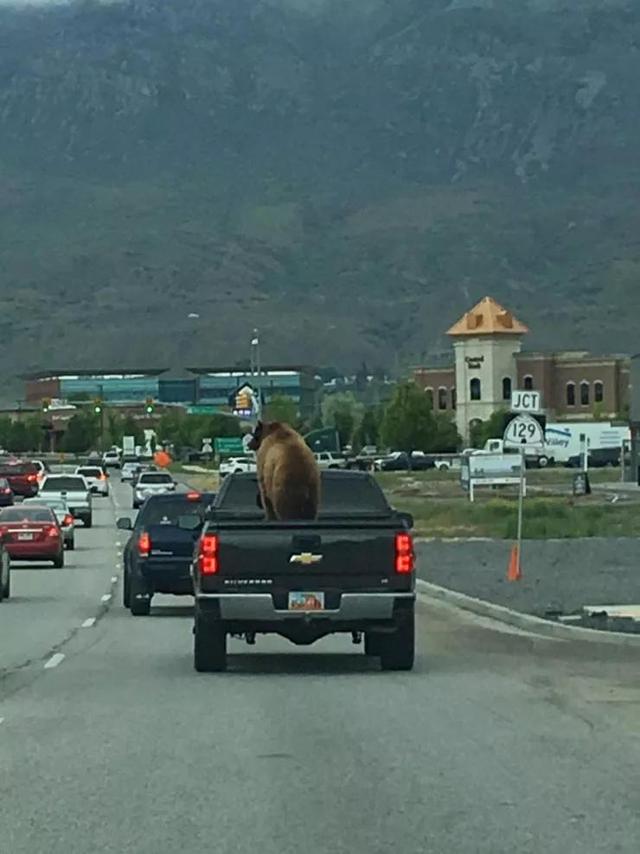 50张难得一见图片：沙漠挑山工，老年人化妆重要性，日出遇到日食