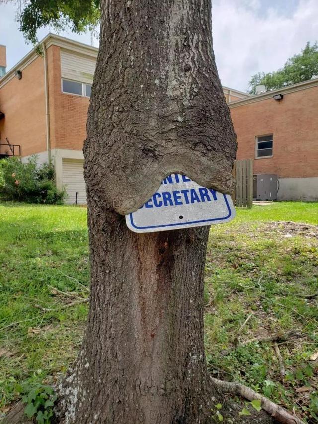 50张难得一见图片：沙漠挑山工，老年人化妆重要性，日出遇到日食