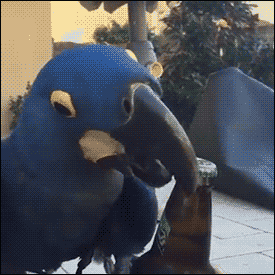 50张难得一见图片：沙漠挑山工，老年人化妆重要性，日出遇到日食