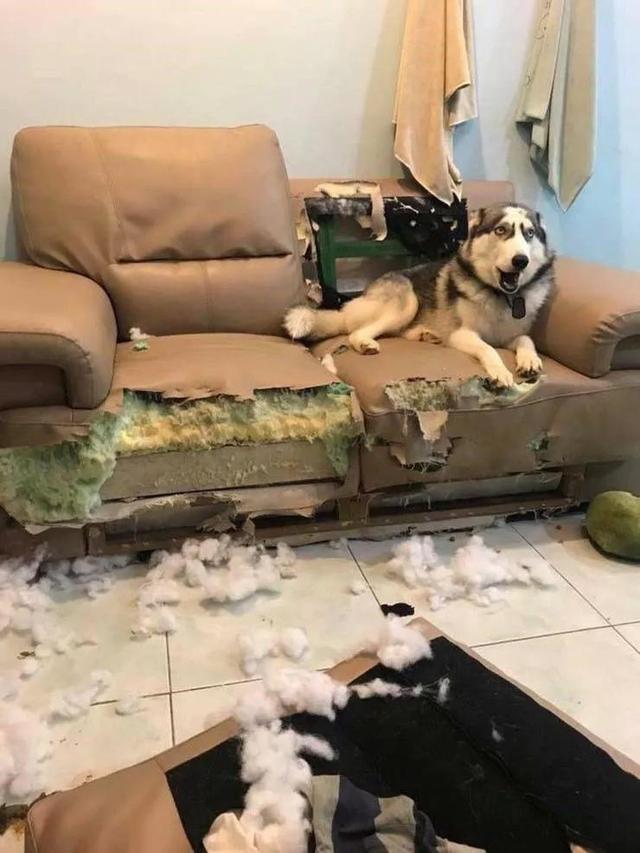 50张难得一见图片：沙漠挑山工，老年人化妆重要性，日出遇到日食