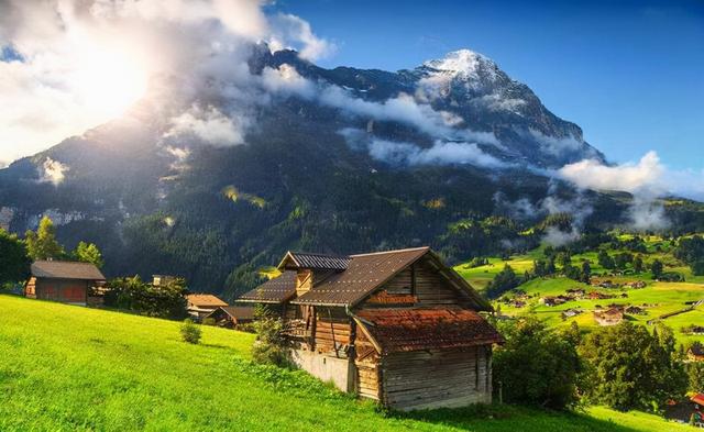 在人造“天堂”里，老鼠560天后走向灭亡，这就是安逸的结局？