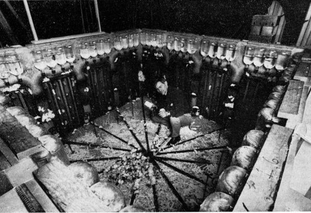 在人造“天堂”里，老鼠560天后走向灭亡，这就是安逸的结局？