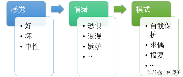 《洞见》：为什么佛学是真的