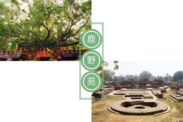 在印度，追寻古代佛陀的踪迹