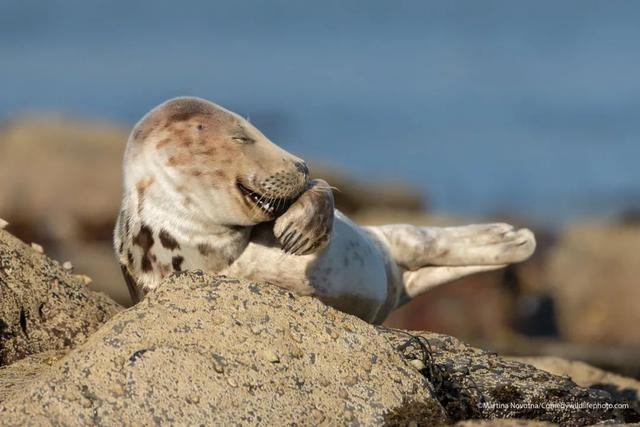 参赛作品过于奇葩，我竟笑成尖叫鸡