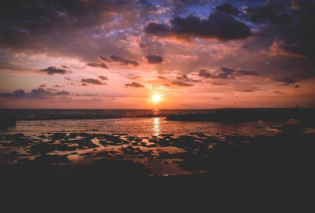 最震撼的人心爱情小说《荆棘鸟》：世上没有一种爱，能被轻易得到