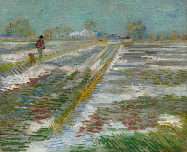 梵高：不经历人间苦难，不足以谈灵魂有趣