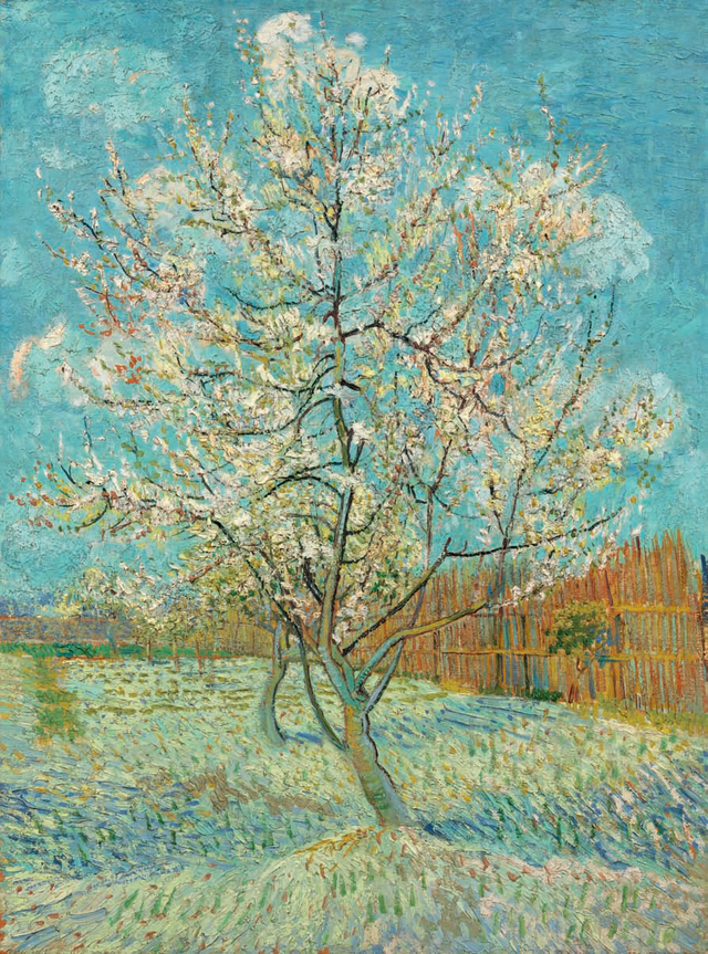 梵高：不经历人间苦难，不足以谈灵魂有趣