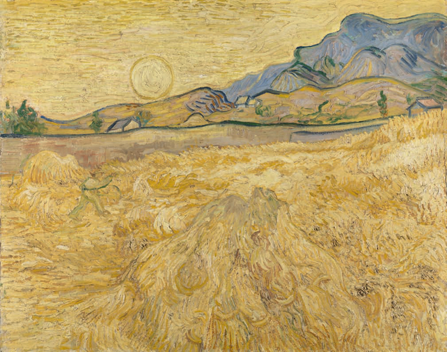 梵高：不经历人间苦难，不足以谈灵魂有趣