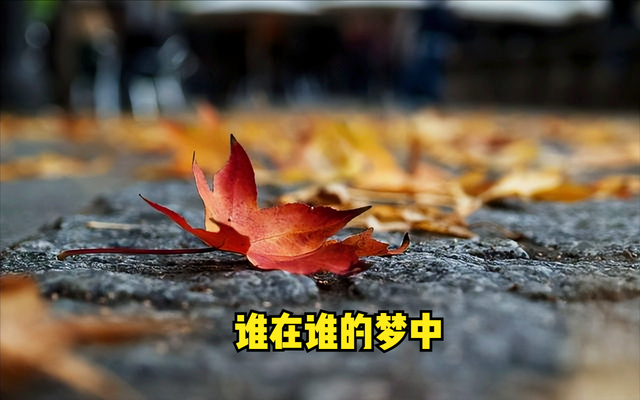 庄子临终前大笑三声：人活到极致，不过是把自己活没了