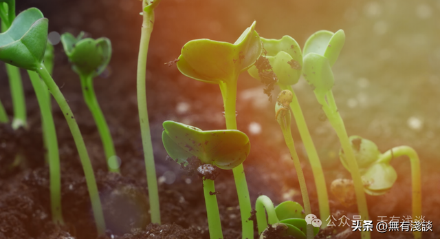 黄帝的四季睡眠大法，看看你睡对了吗？