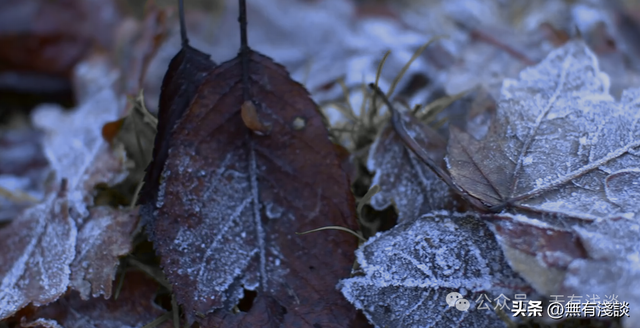 黄帝的四季睡眠大法，看看你睡对了吗？