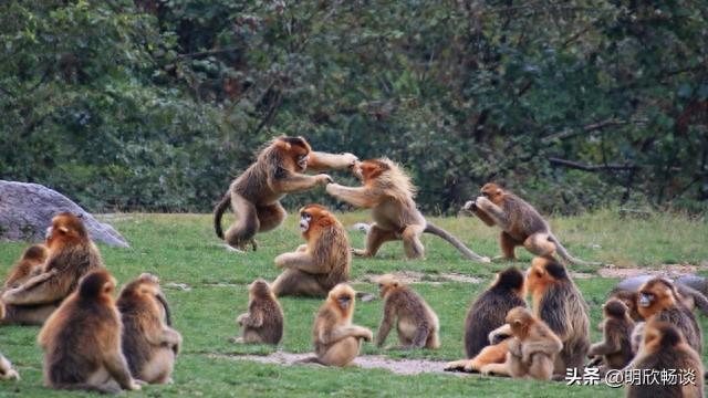 尼泊尔的月经羞辱：在这个国家，女人每个月都要被放逐一次