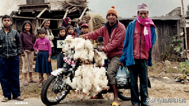 灵修少年打坐6年不吃不喝，多名信徒离奇失踪，轰动全球