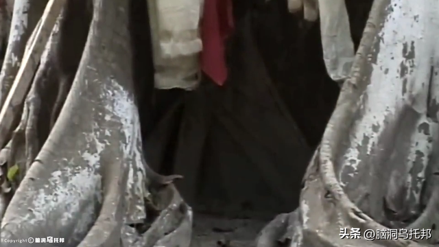 灵修少年打坐6年不吃不喝，多名信徒离奇失踪，轰动全球