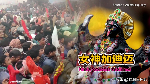 灵修少年打坐6年不吃不喝，多名信徒离奇失踪，轰动全球