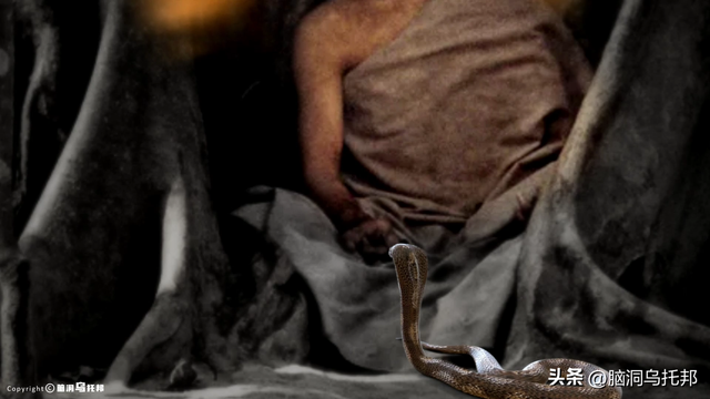 灵修少年打坐6年不吃不喝，多名信徒离奇失踪，轰动全球