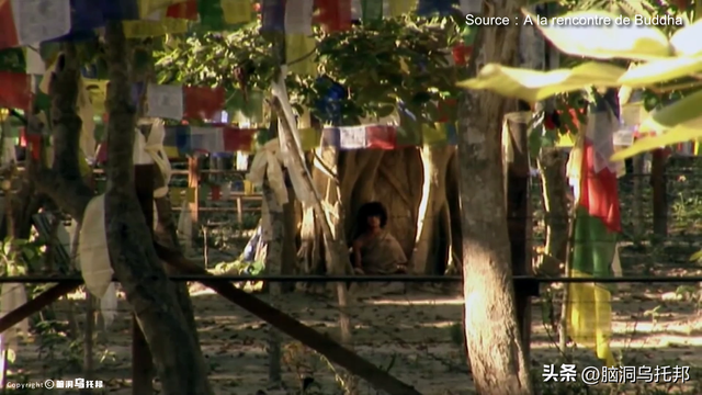 灵修少年打坐6年不吃不喝，多名信徒离奇失踪，轰动全球