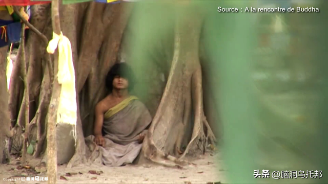 灵修少年打坐6年不吃不喝，多名信徒离奇失踪，轰动全球