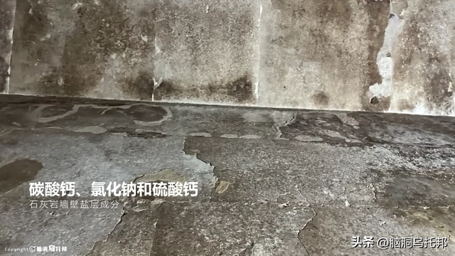 金字塔的真正用途太可怕！谜团早已被破解，主流学界却没人敢说？