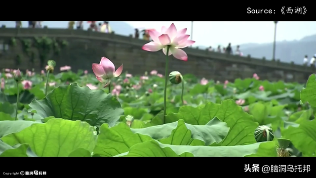 马云突然消失又突然出现，支付宝变更控制人背后究竟意味着什么？