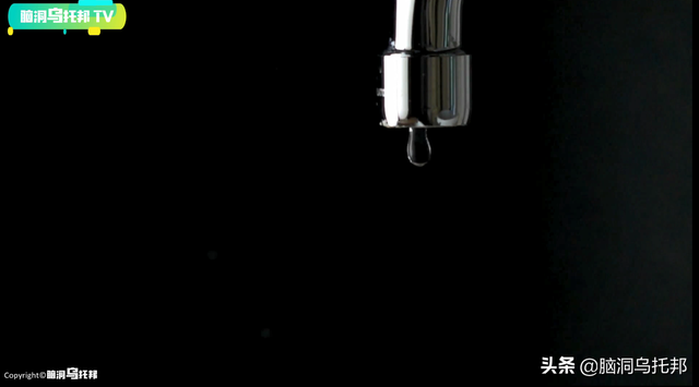 颠覆三观!这是改变你一生的影片,信念生物学：基因以外的生命奥秘