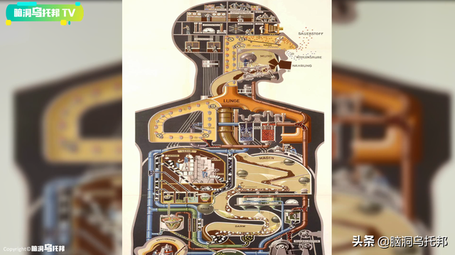 颠覆三观!这是改变你一生的影片,信念生物学：基因以外的生命奥秘