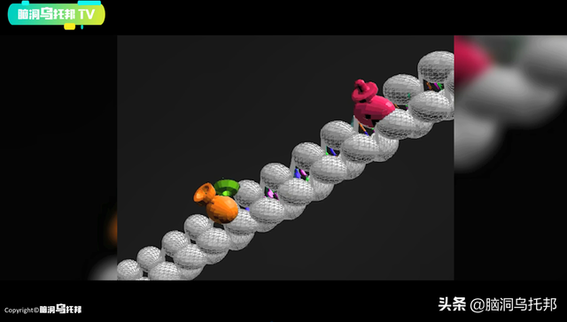 颠覆三观!这是改变你一生的影片,信念生物学：基因以外的生命奥秘