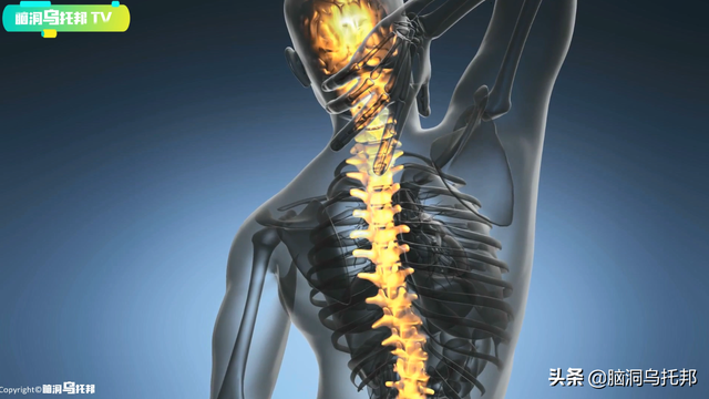 来自异时空的预言书，揭示宇宙起源，预言人类未来！阿卡西记录