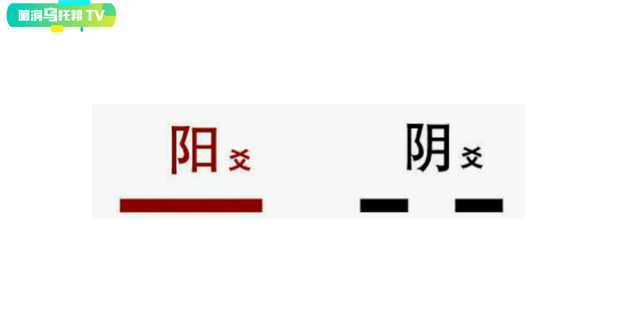 解密上古奇书《易经》它所预测未来和蕴含宇宙奥秘震惊西方学界