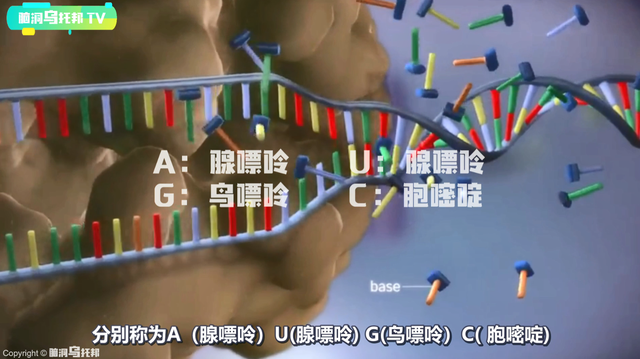 解密上古奇书《易经》它所预测未来和蕴含宇宙奥秘震惊西方学界