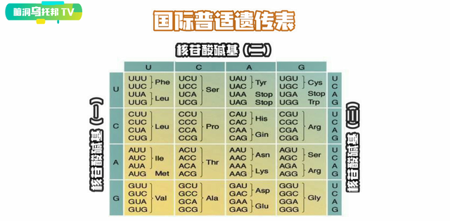 解密上古奇书《易经》它所预测未来和蕴含宇宙奥秘震惊西方学界