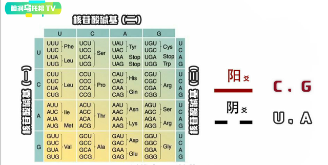 解密上古奇书《易经》它所预测未来和蕴含宇宙奥秘震惊西方学界