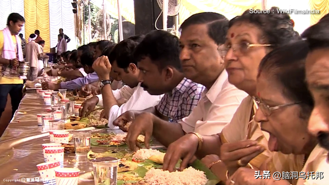 印度惨案震惊世界！印度到底有多少让人惊掉下巴的奇葩习俗？