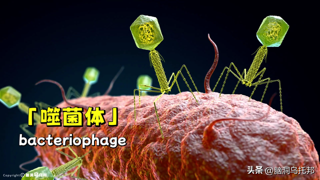 印度惨案震惊世界！印度到底有多少让人惊掉下巴的奇葩习俗？