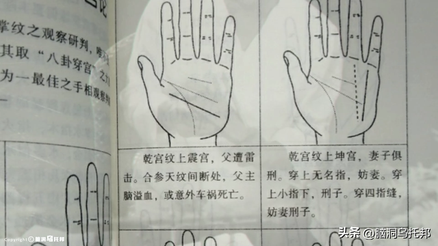 曾为蒋家算命，句句应验！道家神人、中医鬼才倪海夏的传奇人生