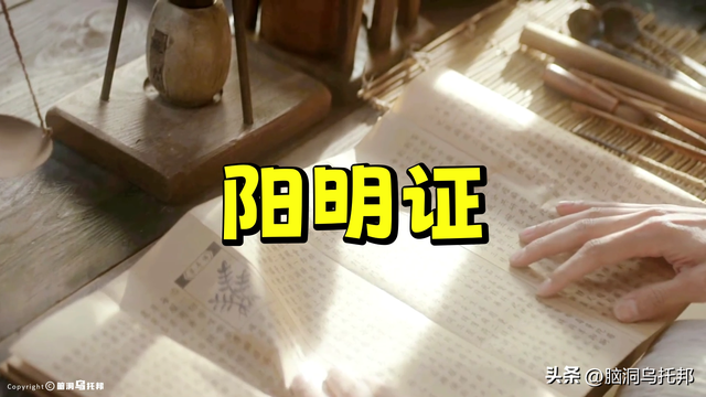 曾为蒋家算命，句句应验！道家神人、中医鬼才倪海夏的传奇人生