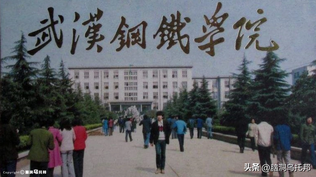 39亿注册资本如何撬动2.4万亿负债？深扒许家印被捕的真相