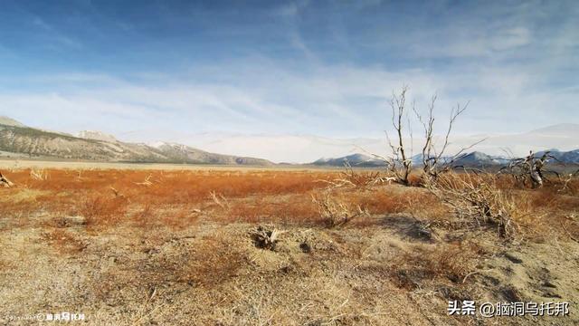 信徒超过18亿，伊斯兰教为何会让全世界感到恐惧？伊斯兰教的真相