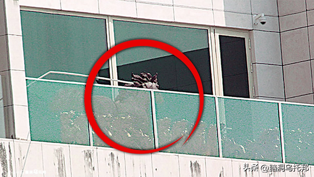 风水师不敢说的秘密！揭秘让你终身受益的住宅风水法则