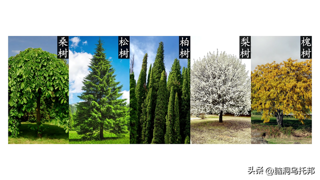 风水师不敢说的秘密！揭秘让你终身受益的住宅风水法则