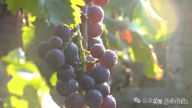 得道开悟实在是太简单？老子说只要做到《道德经》中这六个字就行