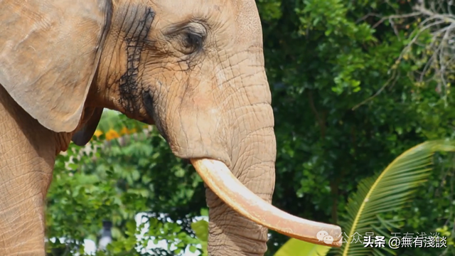 得道开悟实在是太简单？老子说只要做到《道德经》中这六个字就行