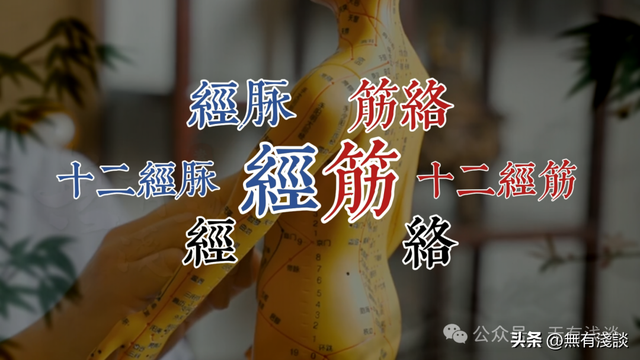 素门玄一伸筋法，筋长一寸，寿延十年，今天教大家让筋变长的方法