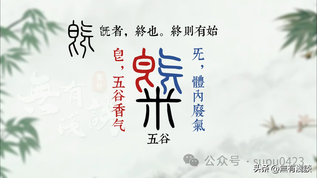 每一个修行人都必须了解的真相，《道德经》中暗藏着气的终极秘！