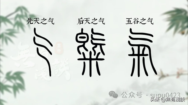 每一个修行人都必须了解的真相，《道德经》中暗藏着气的终极秘！