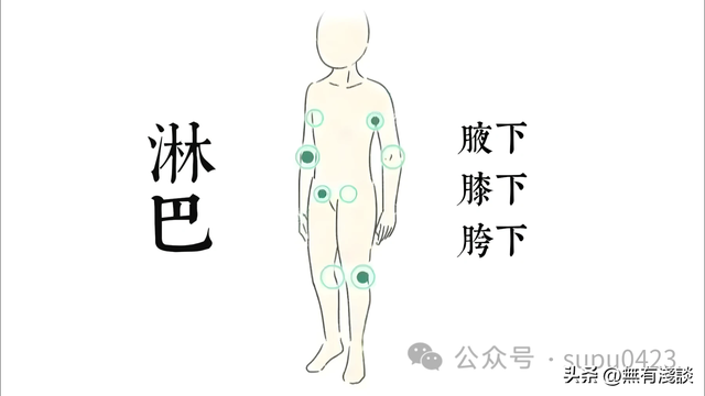 每一个修行人都必须了解的真相，《道德经》中暗藏着气的终极秘！