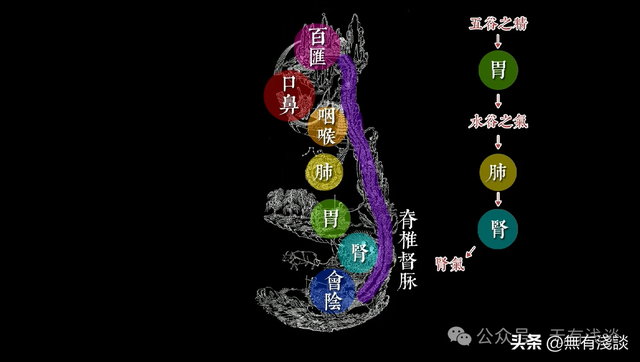 丹道逆转周天与上古练气法，开启胎息就可以不断获取先天一炁！