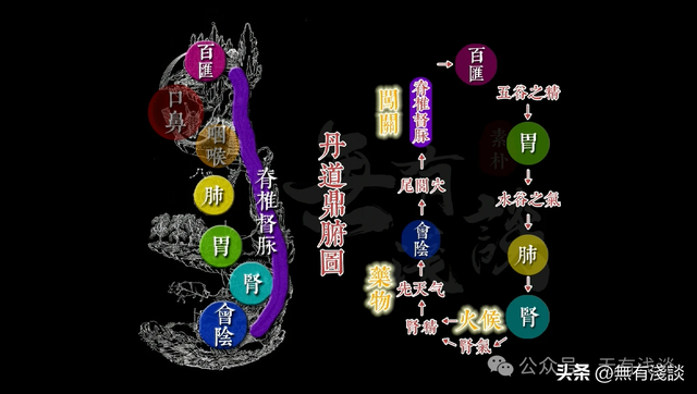 丹道逆转周天与上古练气法，开启胎息就可以不断获取先天一炁！
